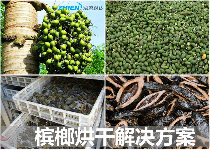 檳榔熱泵烘干機(jī) 檳榔烘干房 檳榔烘干工藝解決方案-空氣能熱泵廠家