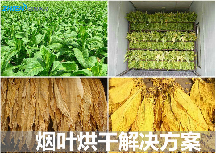 煙葉烘干機(jī) 煙葉烘干房 煙葉烘干工藝及解決方案-空氣能熱泵廠家