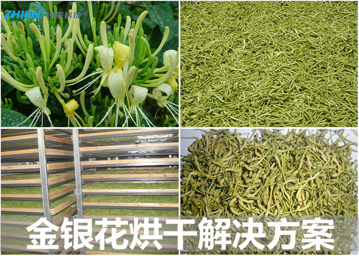 金銀花烘干方案 金銀花烘干工藝 金銀花烘干機價格-空氣能熱泵廠家
