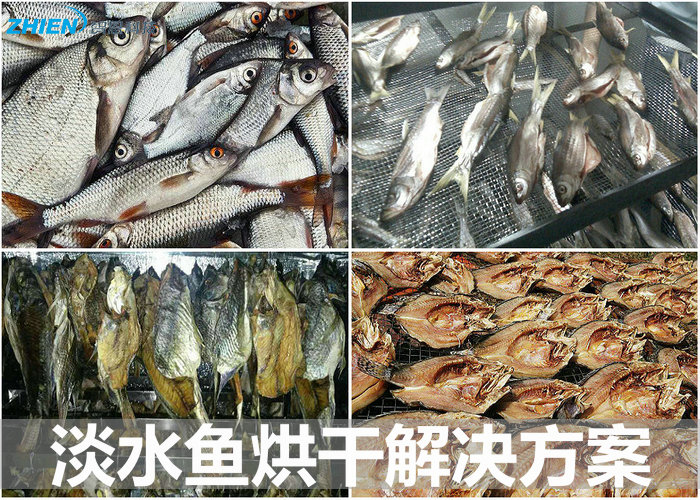 淡水魚烘干機 淡水魚烘干房 淡水魚烘干工藝解決方案-空氣能熱泵廠家