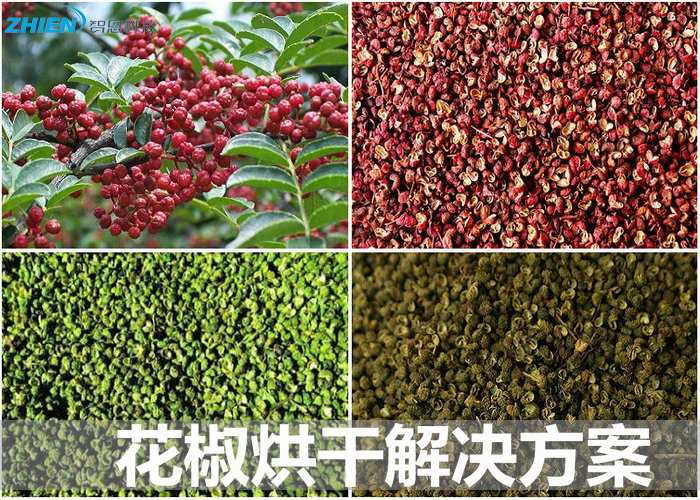 花椒烘干機(jī) 花椒烘干房 花椒烘干技術(shù)解決方案-空氣能熱泵廠家