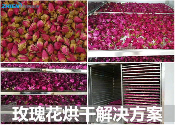 玫瑰花烘干機 玫瑰花烘干房 玫瑰花烘干工藝及解決方案-空氣能熱泵廠家