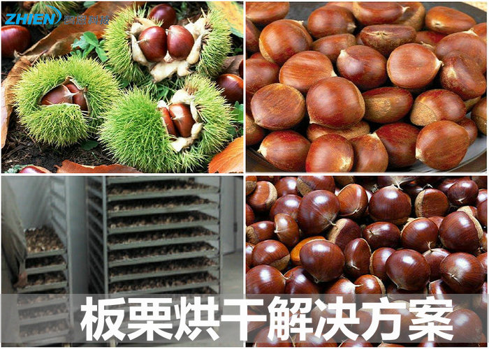 板栗烘干機 板栗烘干房 板栗烘干工藝及解決方案-空氣能熱泵廠家