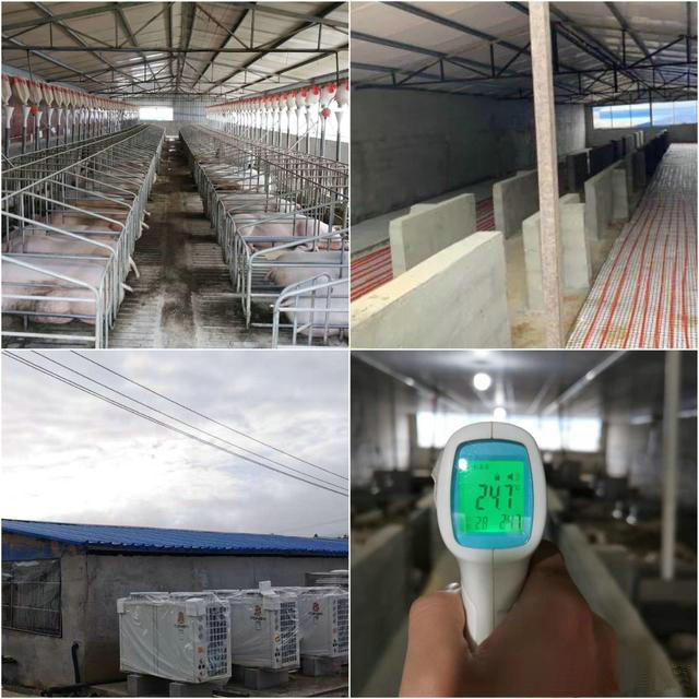 養(yǎng)殖采暖設(shè)備為何推薦空氣能熱泵?-空氣能熱泵廠家